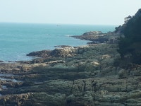 이기대