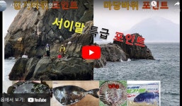 서이말 꽝없는 마당바위 특급 포인트..