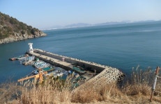 가덕새바지(지난 조황)