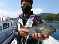 26일(토) 욕지군도 벵에돔 참돔 출조~고성섬낚시