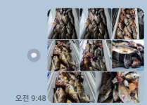 Naver search result photo 2