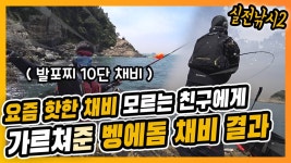 영도 태종대 벵에돔 꼬맹이 마릿수 후기