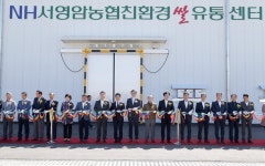  현장24시  <  현장에서 지킵니다   < 영암군  