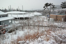 승마장 갤러리>승마장>안전생활>영광군청