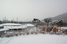 승마장 갤러리>승마장>안전생활>영광군청