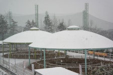 승마장 갤러리>승마장>안전생활>영광군청