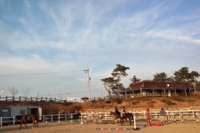 승마장 갤러리>승마장>안전생활>영광군청