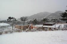 승마장 갤러리>승마장>안전생활>영광군청