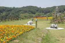 숙박>숙박/음식/특산품>영광군 문화관광