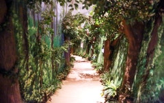 INSAM MUSEUM 인삼박물관, 인삼, 영주시청, 영주, 시청, yeongju, insam museum