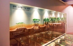 INSAM MUSEUM 인삼박물관, 인삼, 영주시청, 영주, 시청, yeongju, insam museum
