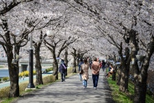 사진 보기 소수서원