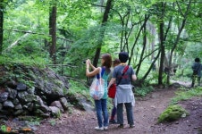 영주시 인터넷뉴스 영주시, 영주시 인터넷뉴스 , 인터넷뉴스