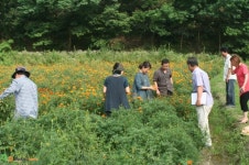 영주시 인터넷뉴스 영주시, 영주시 인터넷뉴스 , 인터넷뉴스