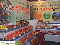 영주시 인터넷뉴스 영주시, 영주시 인터넷뉴스 , 인터넷뉴스