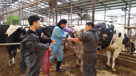 상세 < 학과갤러리 < 커뮤니티 | 연암대학교