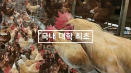 상세 < 학생활동 < 커뮤니티 | 연암대학교