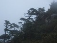 산행기 - 제7차 지리종주(화엄사~천왕봉~중산리)다녀오다
