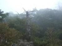 산행기 - 제7차 지리종주(화엄사~천왕봉~중산리)다녀오다