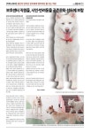 용인소식지 287호 | 2페이지