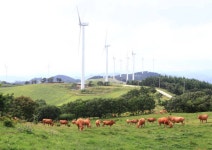 맹동산삼의목장 - 영양문화관광 축제갤러리