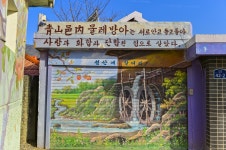 별별골목 > 청산도리뱅뱅생선국수음식거리 | 별별시장&별별여행 ┃ 여행문화의 새로운 트렌드를 만들다 별별골목 > 청산도리뱅뱅생선국수음식거리