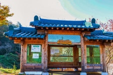 별별여행 > 대한다원보성녹차밭 | 별별시장&별별여행 ┃ 여행문화의 새로운 트렌드를 만들다 별별여행 > 대한다원보성녹차밭