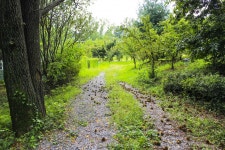 별별여행 > 청주가로수길 | 별별시장&별별여행 ┃ 여행문화의 새로운 트렌드를 만들다 별별여행 > 청주가로수길