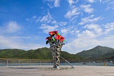 별별여행 > 명사해수욕장 | 별별시장&별별여행 ┃ 여행문화의 새로운 트렌드를 만들다 별별여행 > 명사해수욕장