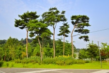 별별여행 > 광시한우마을 | 별별시장&별별여행 ┃ 여행문화의 새로운 트렌드를 만들다 별별여행 > 광시한우마을