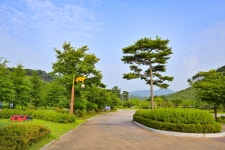별별여행 > 광시한우마을 | 별별시장&별별여행 ┃ 여행문화의 새로운 트렌드를 만들다 별별여행 > 광시한우마을