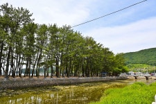 별별여행 > 상주은모래비치 | 별별시장&별별여행 ┃ 여행문화의 새로운 트렌드를 만들다 별별여행 > 상주은모래비치