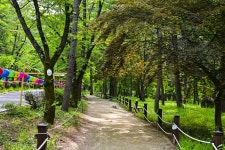 별별여행 > 직지사 | 별별시장&별별여행 ┃ 여행문화의 새로운 트렌드를 만들다 별별여행 > 직지사