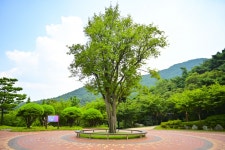별별여행 > 봉수산수목원 | 별별시장&별별여행 ┃ 여행문화의 새로운 트렌드를 만들다 별별여행 > 봉수산수목원