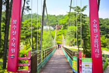 별별여행 > 봉수산수목원 | 별별시장&별별여행 ┃ 여행문화의 새로운 트렌드를 만들다 별별여행 > 봉수산수목원