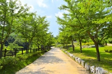 별별여행 > 봉수산수목원 | 별별시장&별별여행 ┃ 여행문화의 새로운 트렌드를 만들다 별별여행 > 봉수산수목원