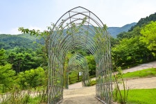 별별여행 > 봉수산수목원 | 별별시장&별별여행 ┃ 여행문화의 새로운 트렌드를 만들다 별별여행 > 봉수산수목원