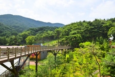 별별여행 > 봉수산수목원 | 별별시장&별별여행 ┃ 여행문화의 새로운 트렌드를 만들다 별별여행 > 봉수산수목원