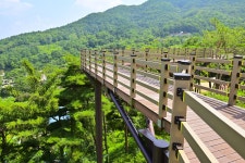 별별여행 > 봉수산수목원 | 별별시장&별별여행 ┃ 여행문화의 새로운 트렌드를 만들다 별별여행 > 봉수산수목원