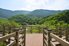 별별여행 > 봉수산수목원 | 별별시장&별별여행 ┃ 여행문화의 새로운 트렌드를 만들다 별별여행 > 봉수산수목원