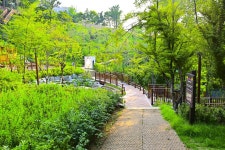 별별여행 > 용양봉저정공원 | 별별시장&별별여행 ┃ 여행문화의 새로운 트렌드를 만들다 별별여행 > 용양봉저정공원