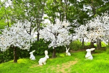 별별여행 > 용양봉저정공원 | 별별시장&별별여행 ┃ 여행문화의 새로운 트렌드를 만들다 별별여행 > 용양봉저정공원