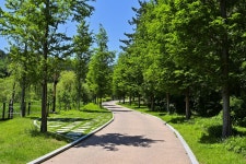 별별여행 > 통영RCE세자트라숲 | 별별시장&별별여행 ┃ 여행문화의 새로운 트렌드를 만들다 별별여행 > 통영RCE세자트라숲