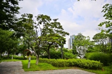 별별여행 > 철길숲&불의정원 | 별별시장&별별여행 ┃ 여행문화의 새로운 트렌드를 만들다 별별여행 > 철길숲&불의정원