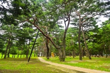 별별여행 > 하동송림공원 | 별별시장&별별여행 ┃ 여행문화의 새로운 트렌드를 만들다 별별여행 > 하동송림공원