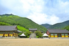 별별여행 > 표충사 | 별별시장&별별여행 ┃ 여행문화의 새로운 트렌드를 만들다 별별여행 > 표충사