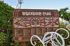 별별여행 > 영일대장미원 | 별별시장&별별여행 ┃ 여행문화의 새로운 트렌드를 만들다 별별여행 > 영일대장미원