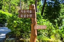 별별여행 > 포레스트수목원 | 별별시장&별별여행 ┃ 여행문화의 새로운 트렌드를 만들다 별별여행 > 포레스트수목원