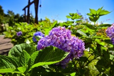 별별여행 > 포레스트수목원 | 별별시장&별별여행 ┃ 여행문화의 새로운 트렌드를 만들다 별별여행 > 포레스트수목원