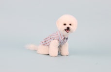 텐바이텐 10X10 : 롤리팝 라인 셔츠 ROLLIPOP LINE SHIRT